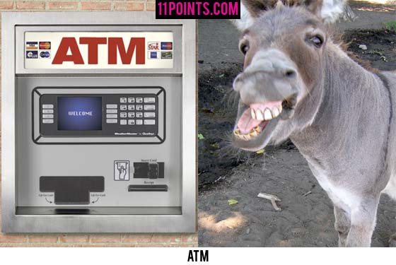 An Automated Teller Machine and a donkey.