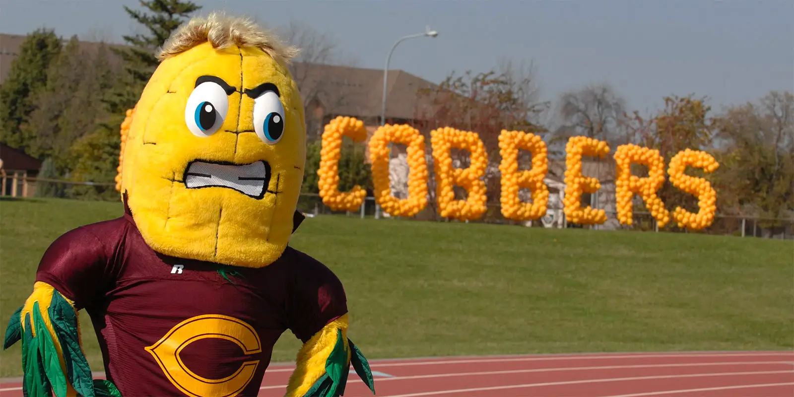 15 College Mascots That Deserve An Animated Tv Series - vrogue.co