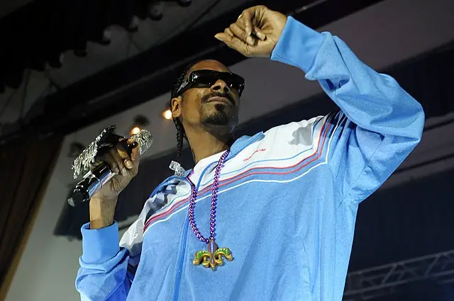Snoop Dogg holding a mic performing on stage.