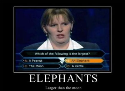 A contestant in the famous game show, Who Wants to be a Millionaire.