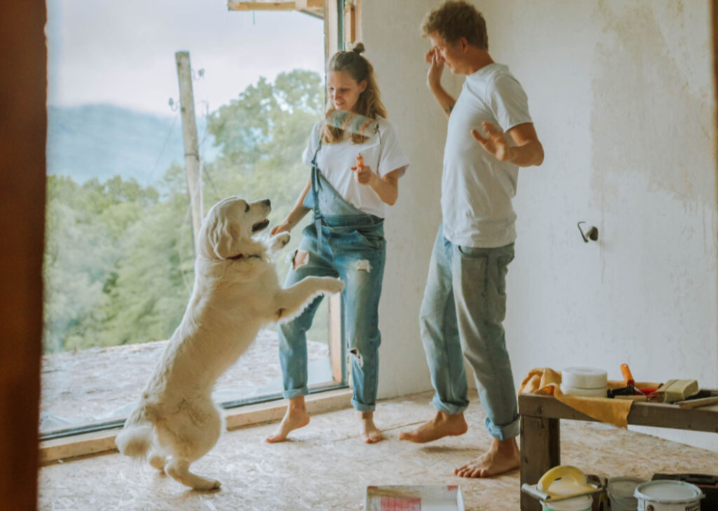 Couples painting the wall while playing with their dogs.