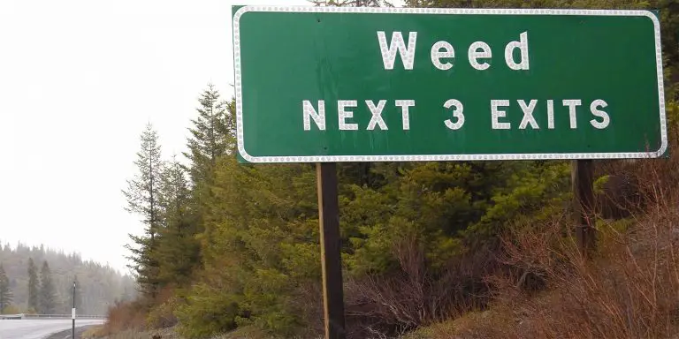 A street sign that says, Weed Next 3 Exits.