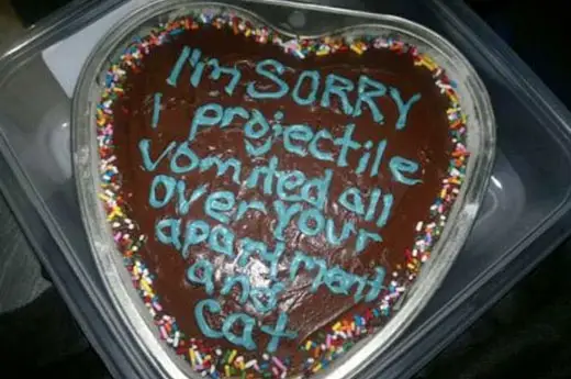 On of the strangest sorry cakes with the message, "I'm SORRY I projectile vomited all over your apartment and cat"