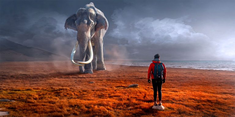 A dream-like scenario where a backpacker stands on a small rock within a surrounding orange grass and a huge mammoth in front of him.