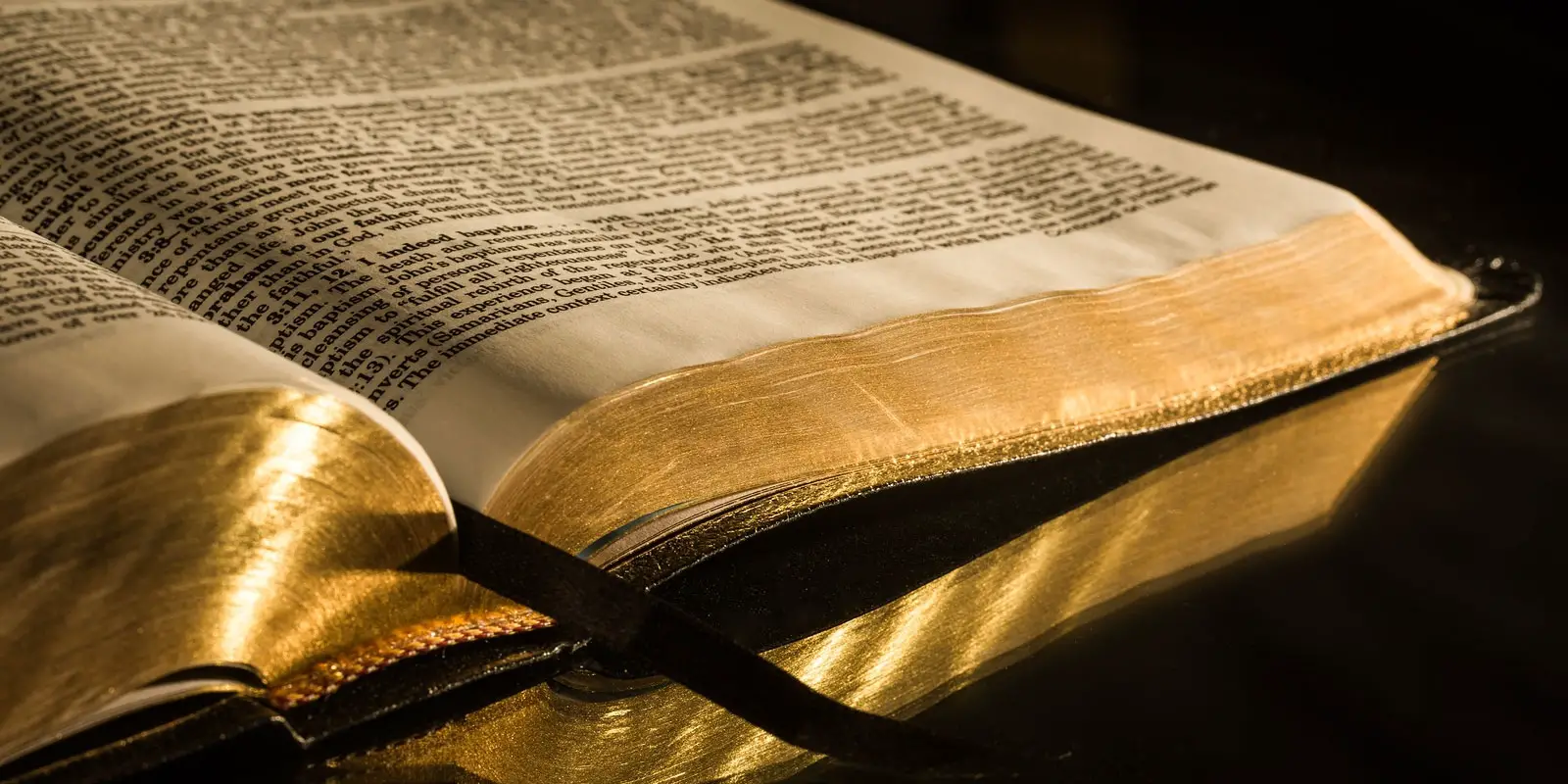 10 Bible Supplies You Can't Do Without